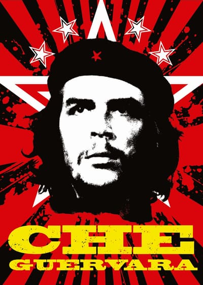 Che — framed print